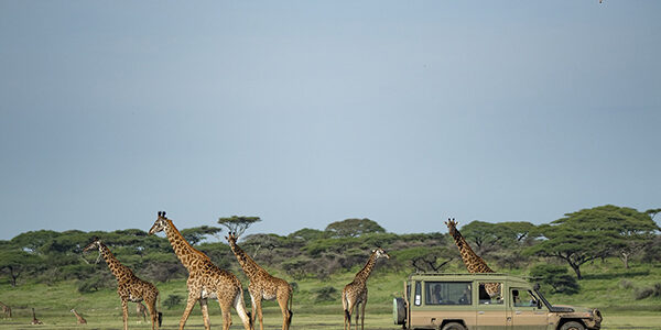 14-days-ultimate-tanzania-safari-7