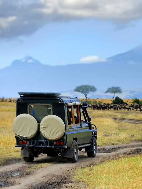 7-days-highlight-kenya-safari-1